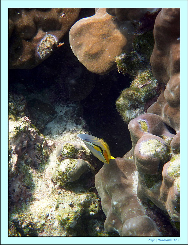 2011 - 03 - Koh Rok 13